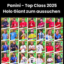 Panini top class gebraucht kaufen  Börßum