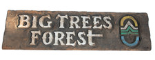 Big trees forest for sale  Garden Valley