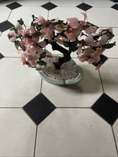 Chinesischer bonsai baum gebraucht kaufen  Neuruppin-Umland
