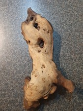 Medium sized bogwood for sale  GRAVESEND