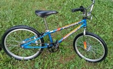 1995 diamondback photon for sale  Mascot