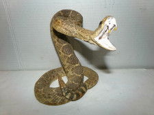 rattle snake rattle for sale  Redmond