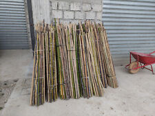 Canne bamboo per usato  Chieti