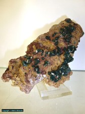 Dioptase dem congo gebraucht kaufen  Weiden