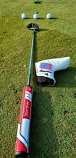 Ping vault anser usato  Italia