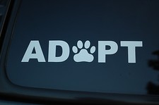 Adopt dog puppy for sale  Costa Mesa