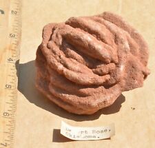 Desert rose barite for sale  Louisville