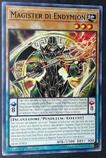 Magister endymion italiano usato  Venezia