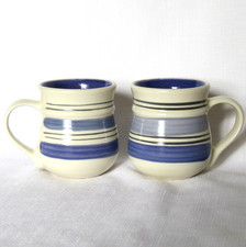 Pfaltzgraff rio mugs for sale  Evanston