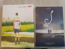 Gipi il moderno usato  Pinerolo