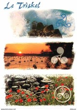 Regions brittany triskel d'occasion  Expédié en Belgium