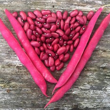 Red silk bean for sale  Melbourne