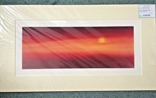 Blood red light for sale  FROME