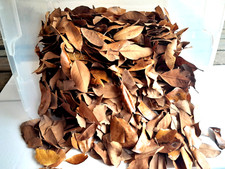 100 organic dried for sale  Warsaw