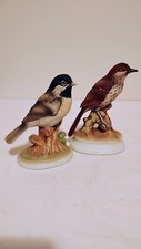 Lefton brown thrasher for sale  Morristown