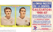 Figurina panini 1966 usato  Toritto