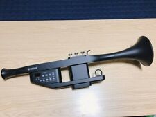 Strumenti musicali tromba usato Strumenti musicali tromba usato  Spedire a Italy