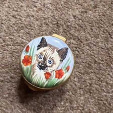 Kitten cat pink for sale  STEVENAGE