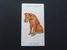 John player dogs for sale  WARLINGHAM