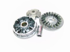 Variatore piaggio beverly usato  Italia