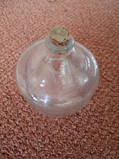 Glass wasp fly for sale  BRENTWOOD