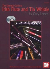 Essential guide irish for sale  Shipping to United Kingdom