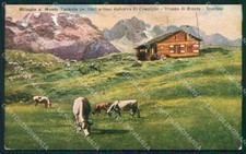 Trento pinzolo madonna usato  Gambolo
