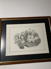 Beautiful dog drawings for sale  ABERDEEN