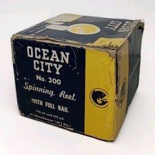 Ocean city 300 for sale  Pomeroy