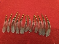 Bpt9 lot junglecock for sale  Hill City