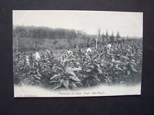 Cpa brésil são d'occasion  Combs-la-Ville