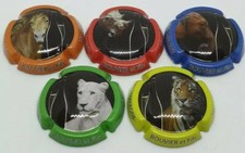 Bouvier wild animals d'occasion  Expédié en Belgium