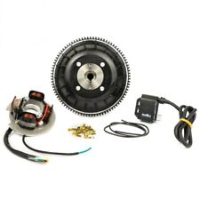 Pinasco kit accensione usato  Pagani