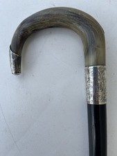walking stick rams horn for sale walking stick rams horn for sale CHESTER