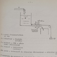 Psychologie physiologie cours d'occasion  France