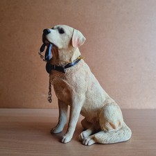 Dog studies leonardo for sale  CARDIFF