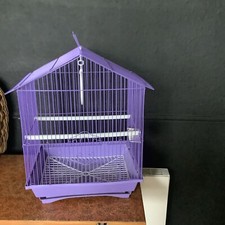 Small birdcage lovebirds for sale  RUSHDEN