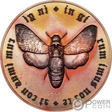 Girum imus nocte usato Girum imus nocte usato  Ciampino