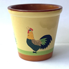 Yellow pottery plant for sale  MELTON MOWBRAY