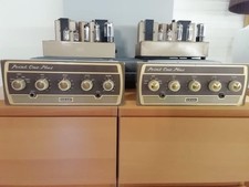 Coppia amplificatori mono usato  Marino
