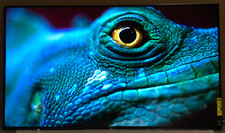 Sony x950h uhd for sale  Kansas City