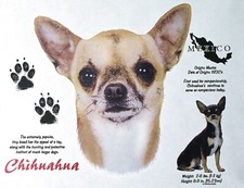 Chihuahua shirts history for sale  Hockley