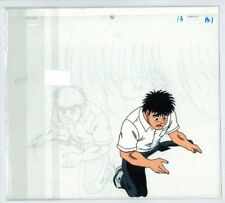 lines ippo usato lines ippo usato Roma
