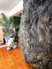 Fake rock face for sale  LYDNEY