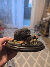 Country artist hedgehog for sale  CRAWLEY