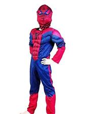 Costume supereroe busto usato  Italia