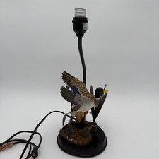 Mallard duck hen for sale  Lexington