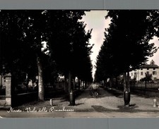 Parma noceto viale usato  Asti