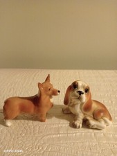 Cane beagle beswich usato  Trieste