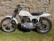 metisse for sale metisse for sale SHREWSBURY